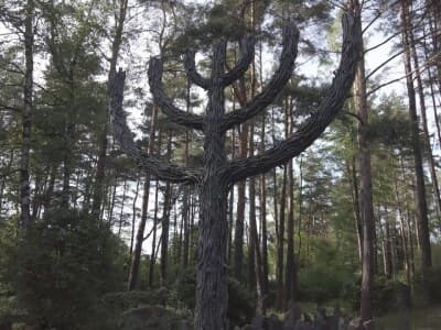 Remembering Rumbula: Preserving the memory of the WWII massacre in Riga